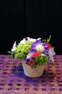 joyful flower arranging for home